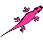 Pink Alligator